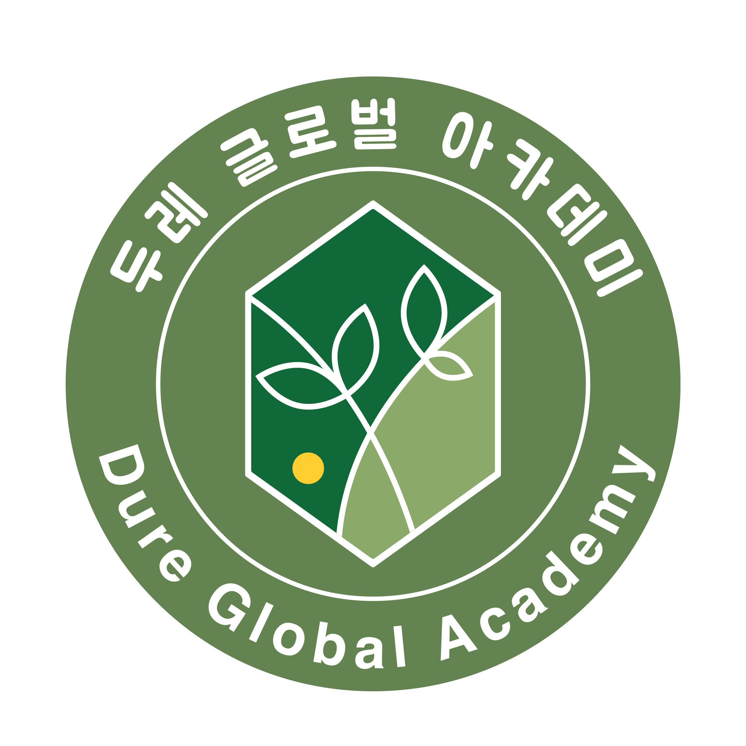 Dure Global Academy