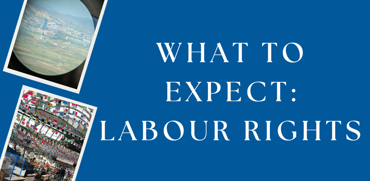 What to Expect: Labour Rights