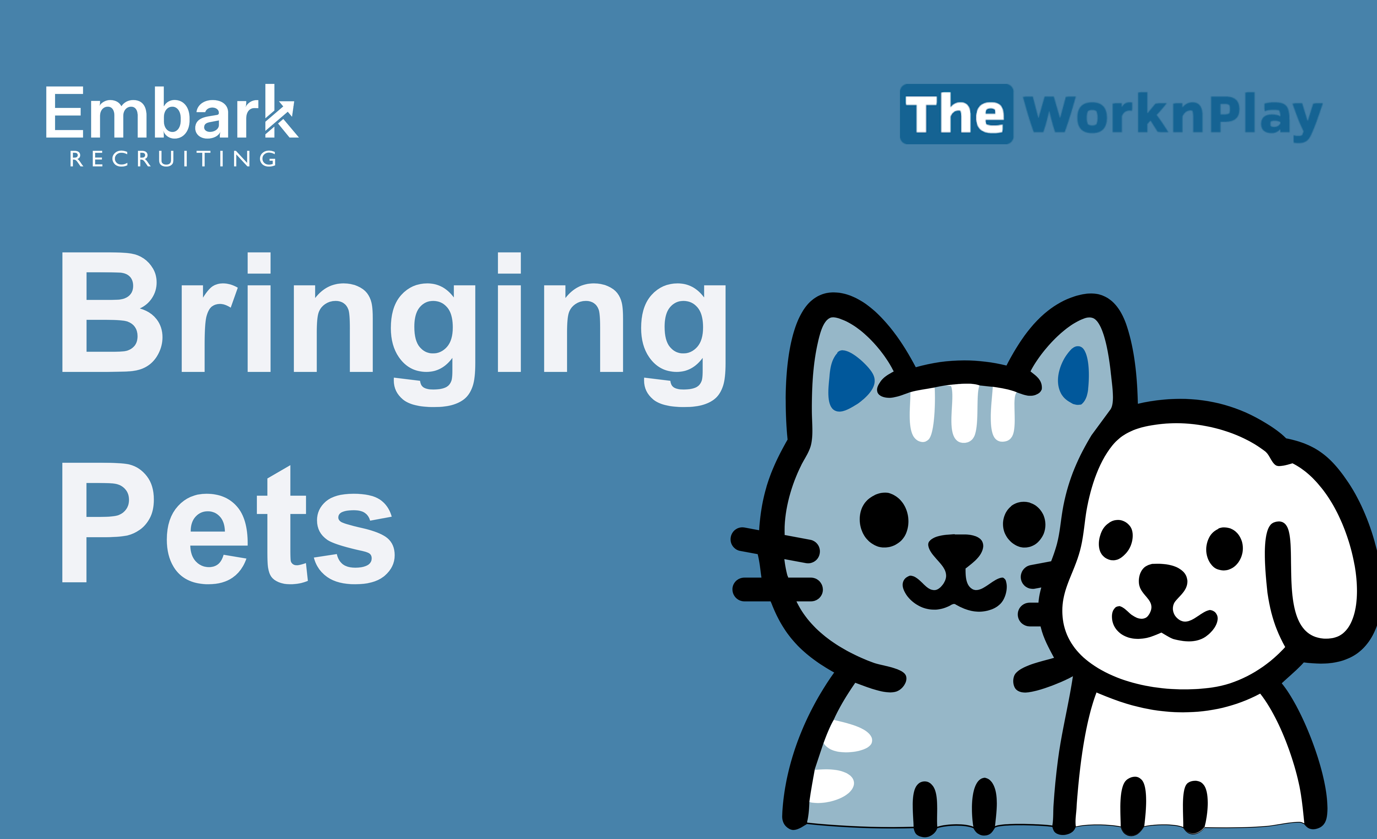 Bringing Pets to Korea as a Native English Teacher | What to Expect