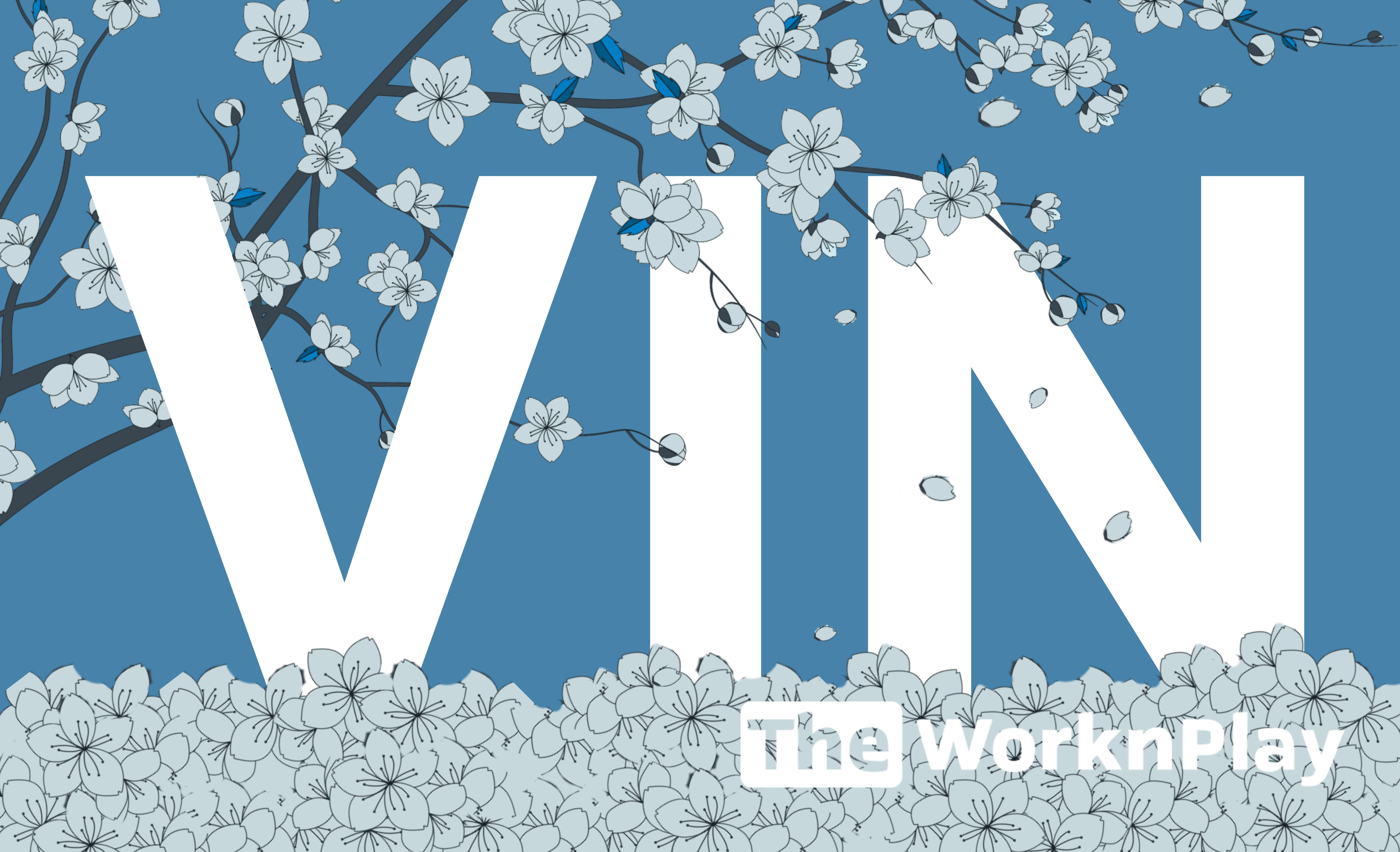 How to Prepare Your VIN Documents (Visa Issuance Number)